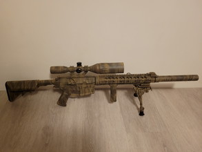 Afbeelding van Upgrade dmr sr25
