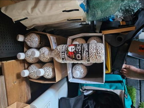 Bild für 20 flessen bbs 5000 per fles