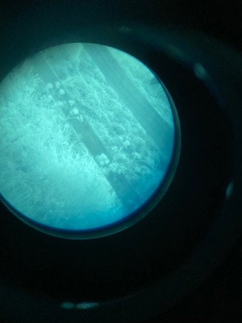 Image 5 for Ballistische helm in combinatie met een Tanto NVG gen2+