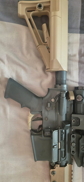 Image 4 pour TM URGI with 2 uppers