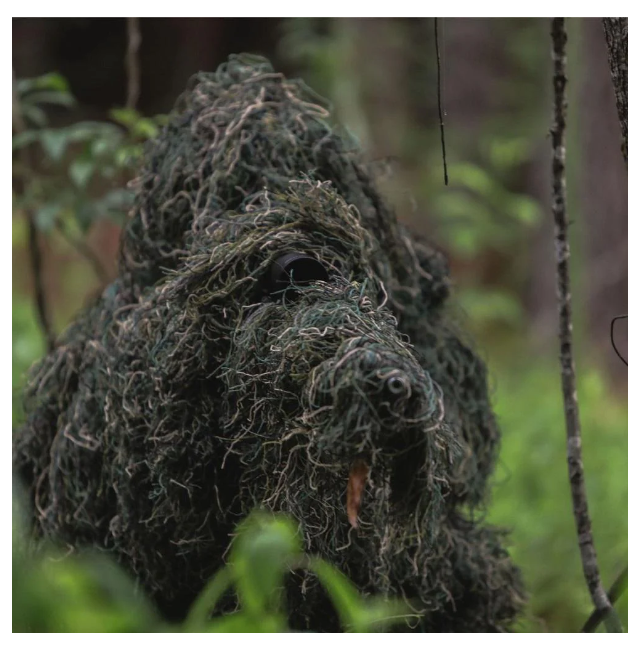 Image 1 for Arcturus Ghost Ghillie Suit - Woodland + extra Arcturus Ghillie Rifle Wrap