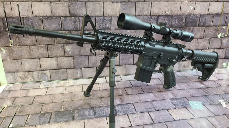 Image 1 pour AEG DMR mit Scope and bipod