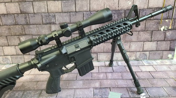 Image 2 pour AEG DMR mit Scope and bipod