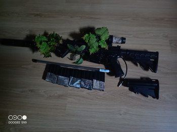 Imagen 2 de M4 DMR GHK body