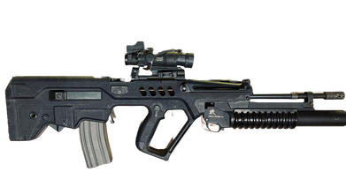 Image pour TAVOR custom M203 (unique !)