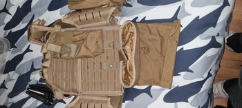 Image 2 for Plate carrier  en belt