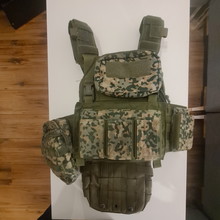 Image pour 8Fields Plate carrier OD Green met NFP pouches