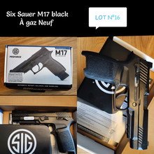 Bild für Sig sauer M17 proforce