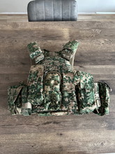 Image for NFP Plate carrier