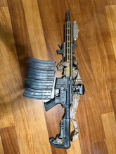 Afbeelding van TM MWS