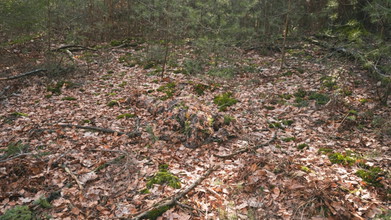 Image for Kmcs crafted full leafsuit. Version 4.1
