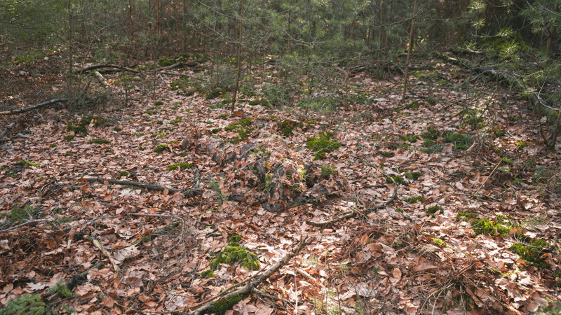 Image 1 for Kmcs crafted full leafsuit. Version 4.1