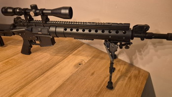 Image 4 pour Full Metal Mk12 SPR Mod 0