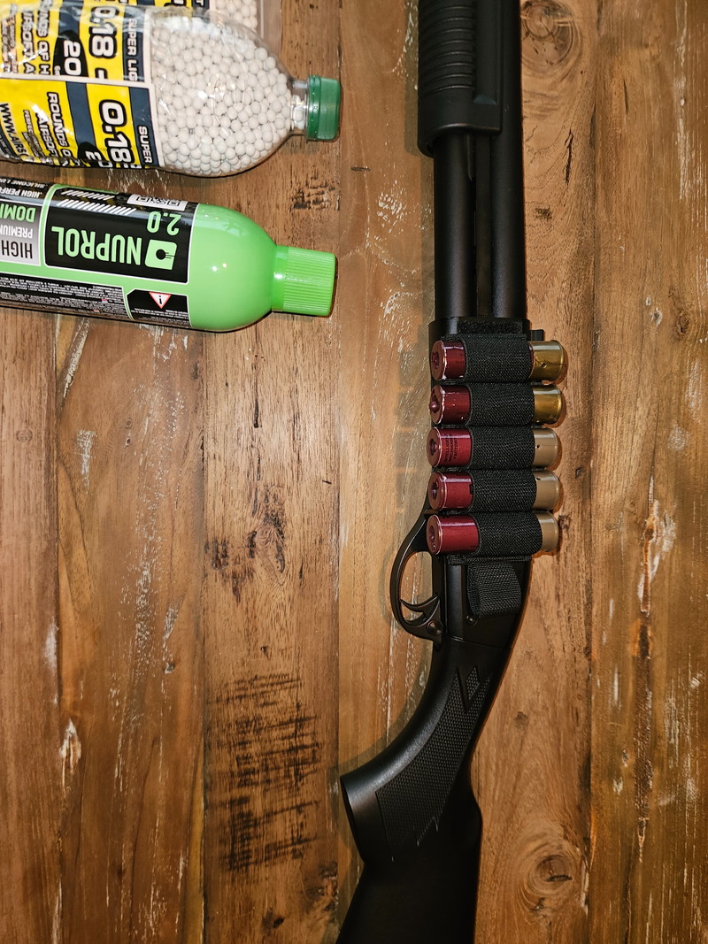 Bild 1 für Golden eagle m870