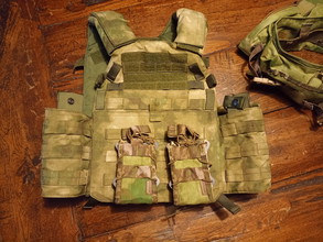 Image for Plate carrier en belt in Everglade