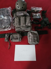 Imagen para Wolf Grey Loadout