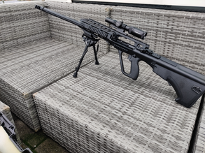 Image pour Custom AUG A3 DMR