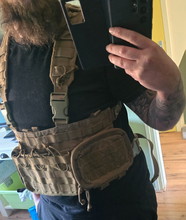 Image pour Condor chestrig