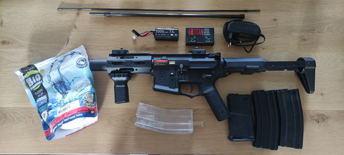 Image for Amoeba honey badger