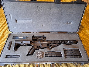 Image for Systema ptw m4