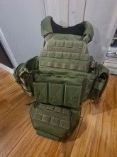 Image pour Warrior Assault Systems plate carrier OD Green