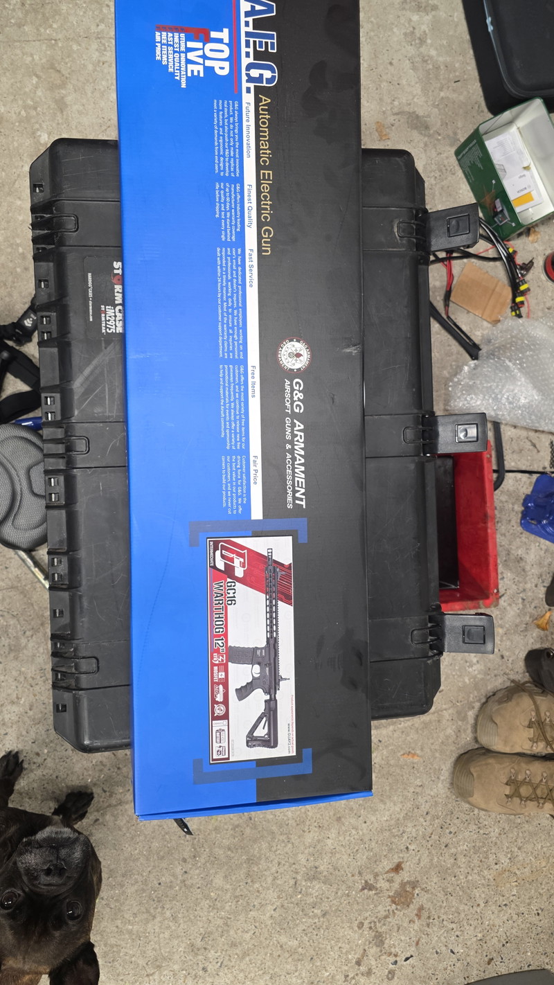 Image 1 pour GC16 Warthog 12