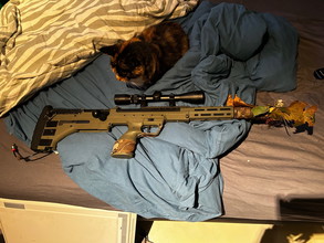 Image pour Srs a2 hpa/spring