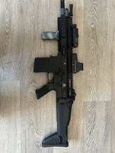 Image pour VFC scar H