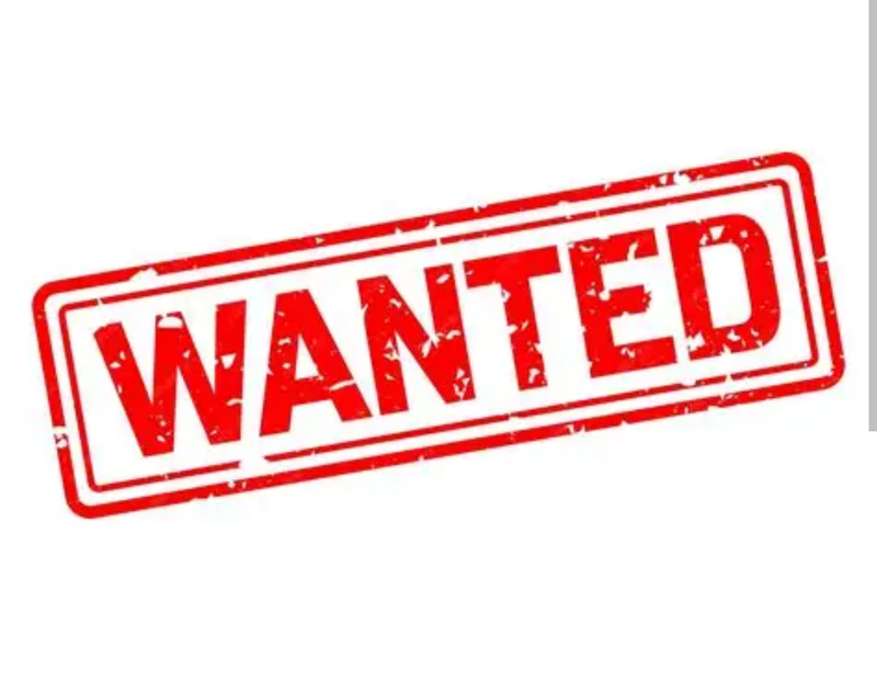 Image 1 for WANTED: broken or heavily used MWS rifle