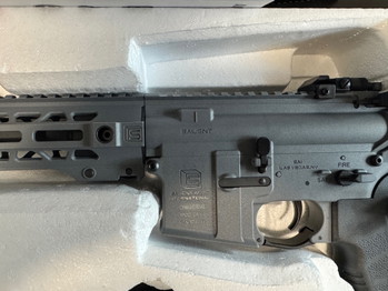 Image 3 for SAI GRY 10inch SBR AEG Gray