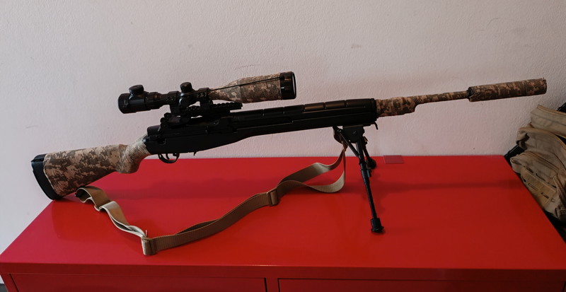 Image 1 pour M14 DMR full upgrade
