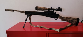 Image 2 pour M14 DMR full upgrade
