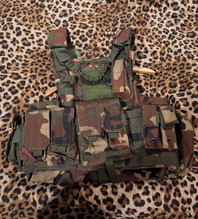 Image for Plate carrier