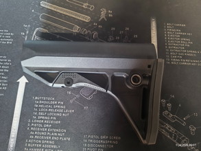 Bild für Pts eps C stock