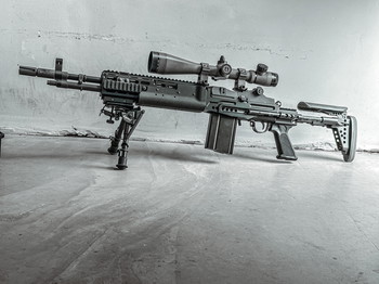 Image 2 pour WE M14 EBR GBBR