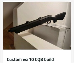 Image pour Custom vsr-10 CQB build