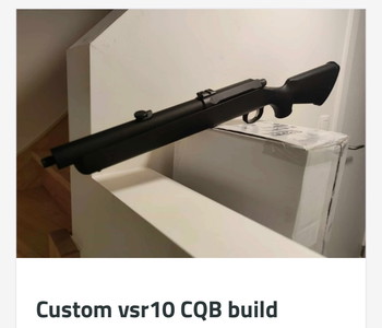 Image 4 for Custom vsr-10 CQB build