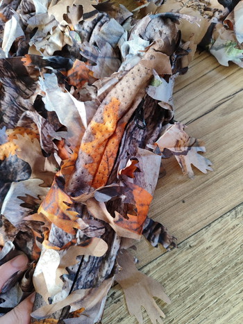 Bild 2 für North mountain gear Herfst Leaf Suit