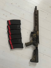 Image for TM gbbr urgi