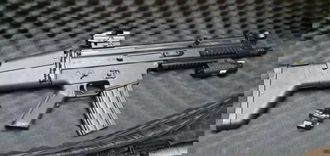 Imagen para Scar-L