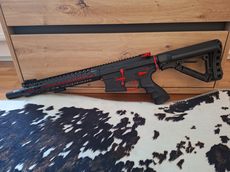 Image 1 pour Srxl