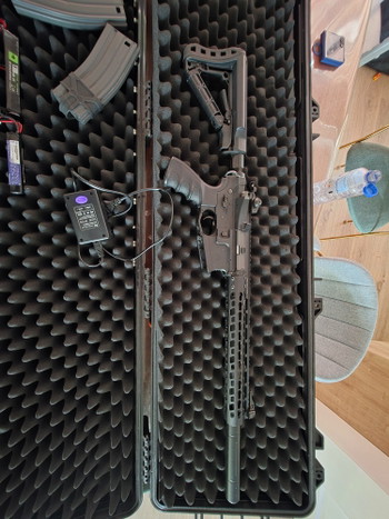 Image 3 for G&G wild hog