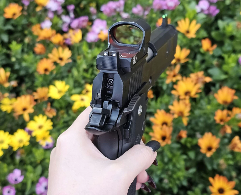 Image 1 for Goth baddy Nighthawk build Hicappa