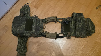 Image 3 for Direct Action Gear Komplett Setup Pencott Wildwood