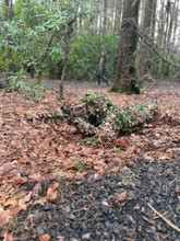 Image for FULL READY TO GO GHILLIE SETUP