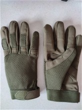 Image for Donker groene combat handschoenen L