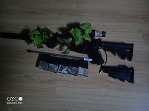 Image for M4 dmr reaper gen 2