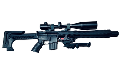 Image pour M4 SBR with SSR-25 stock