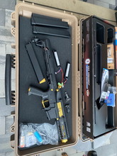 Imagen para Arp 9 gold
