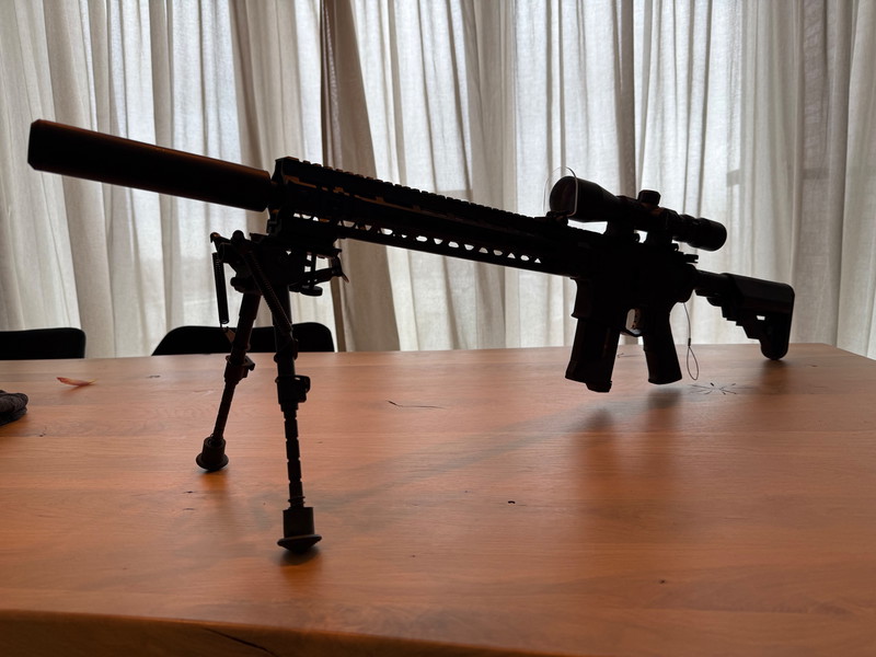 Imagen 1 de Kythera x Wraith stock DMR